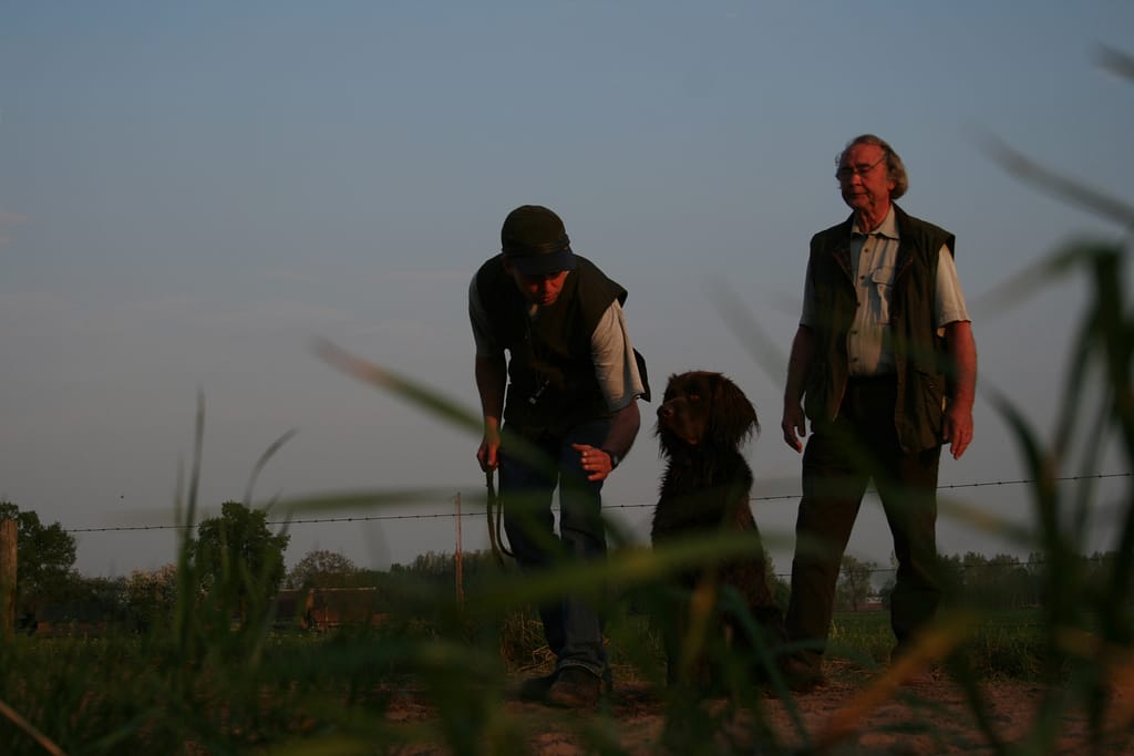 Schorlemer Herbstzuchtprüfung (HZP)