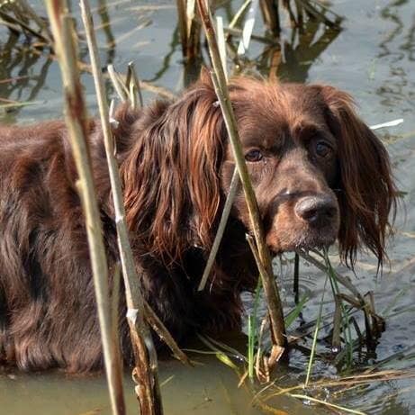 Overige activiteiten
